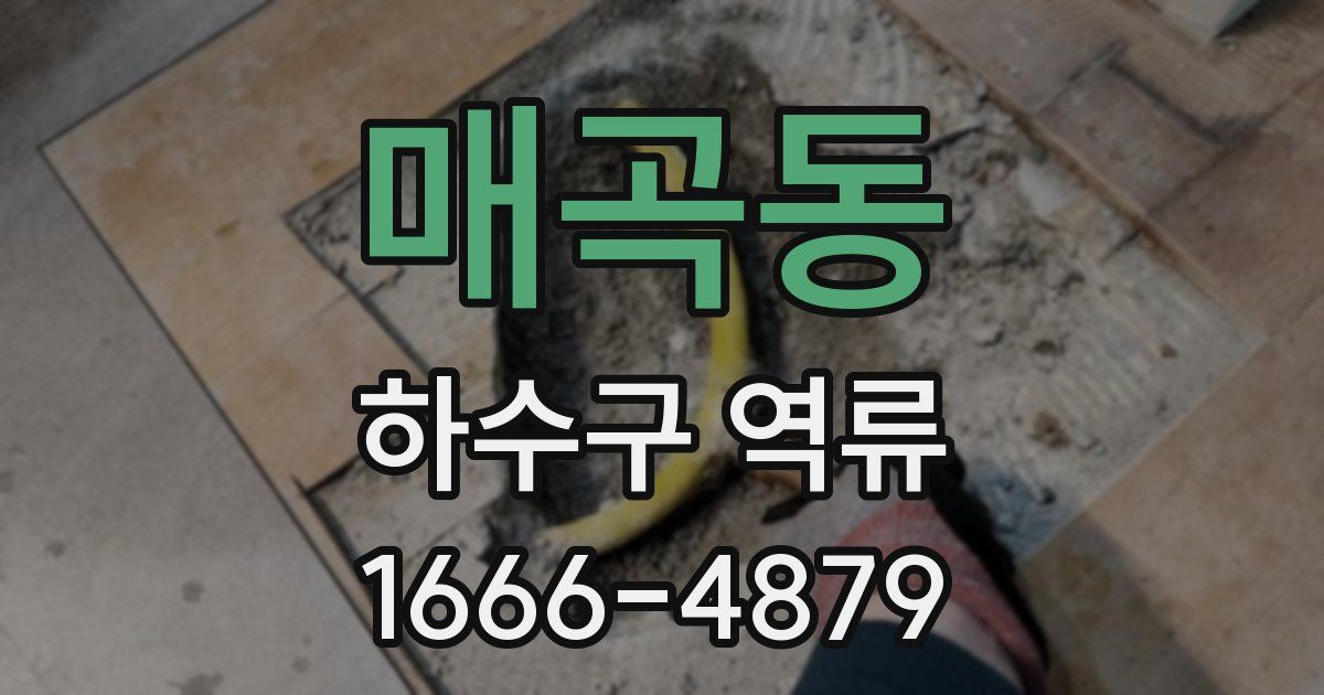 매곡동 하수구 역류