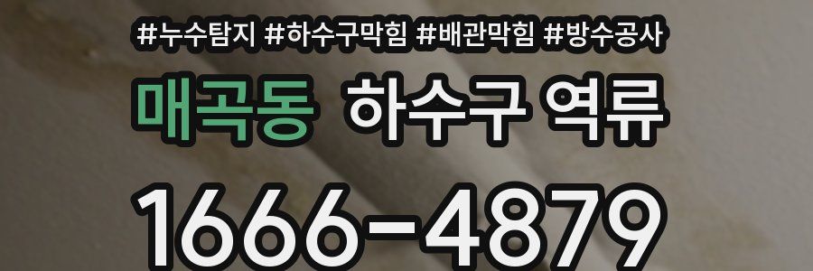 매곡동 하수구 역류