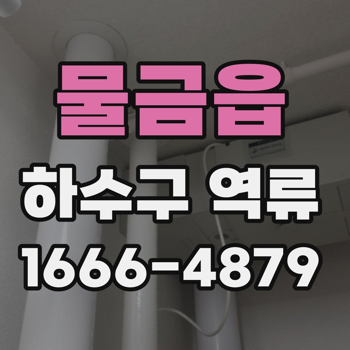 물금읍 하수구 역류