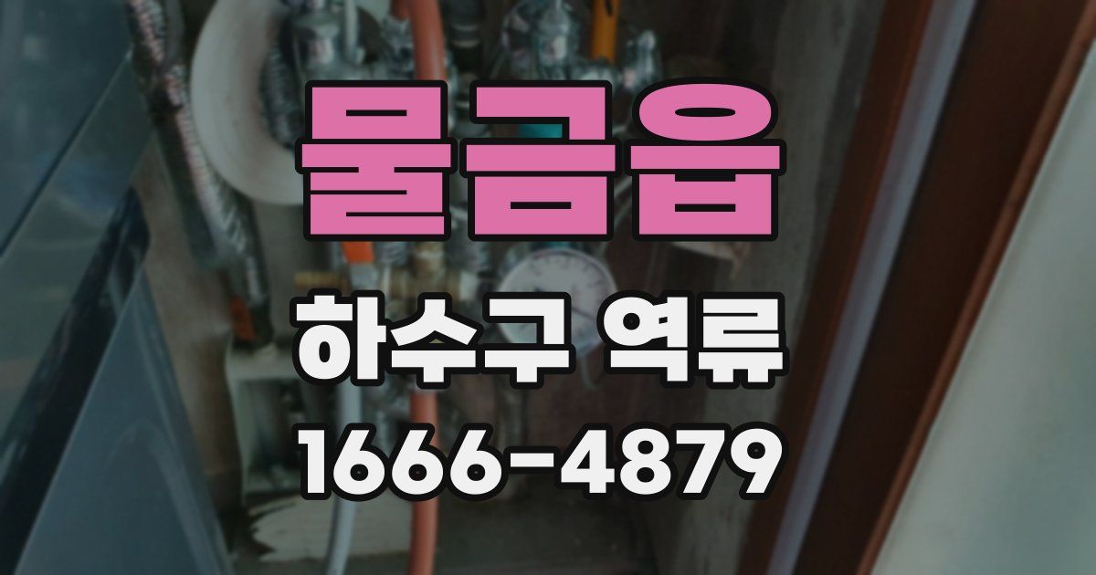 물금읍 하수구 역류