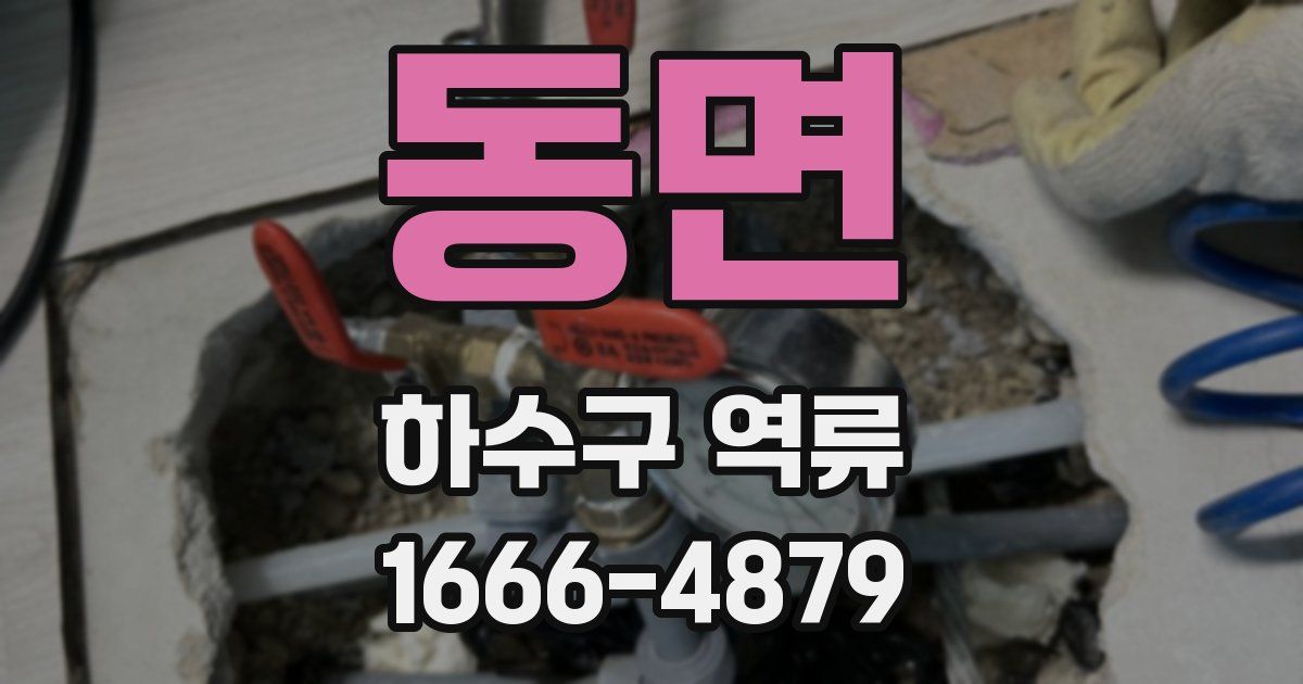 동면 하수구 역류