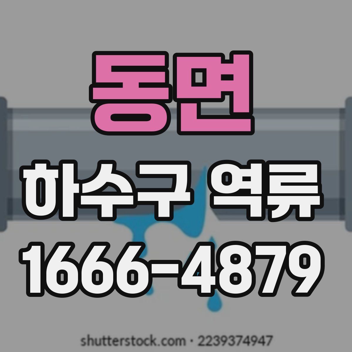 동면 하수구 역류