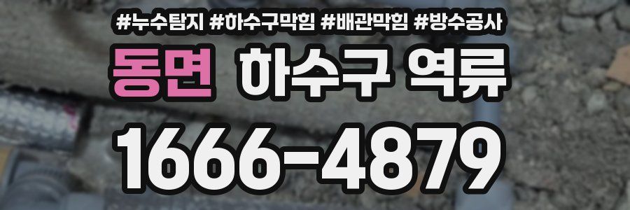 동면 하수구 역류