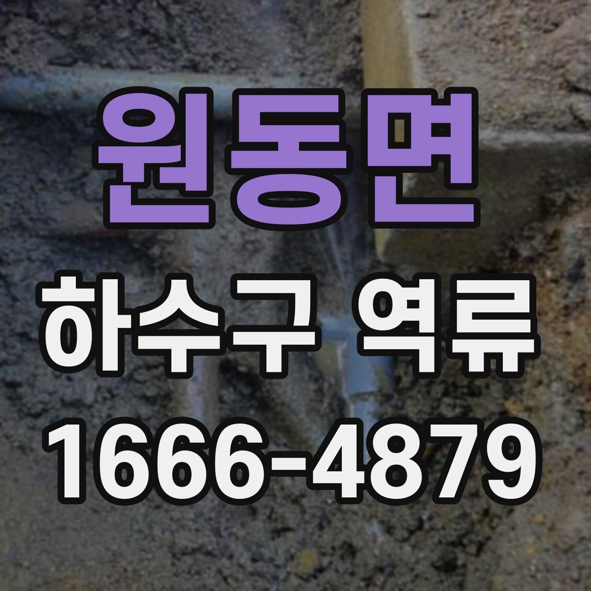 원동면 하수구 역류
