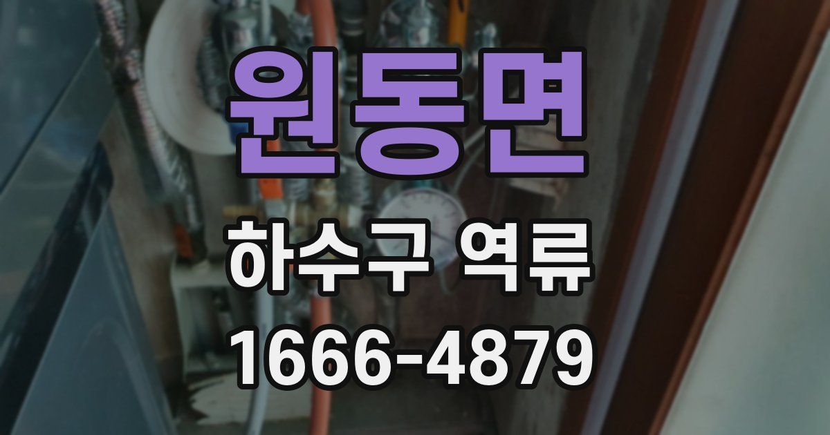 원동면 하수구 역류