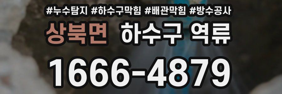 상북면 하수구 역류