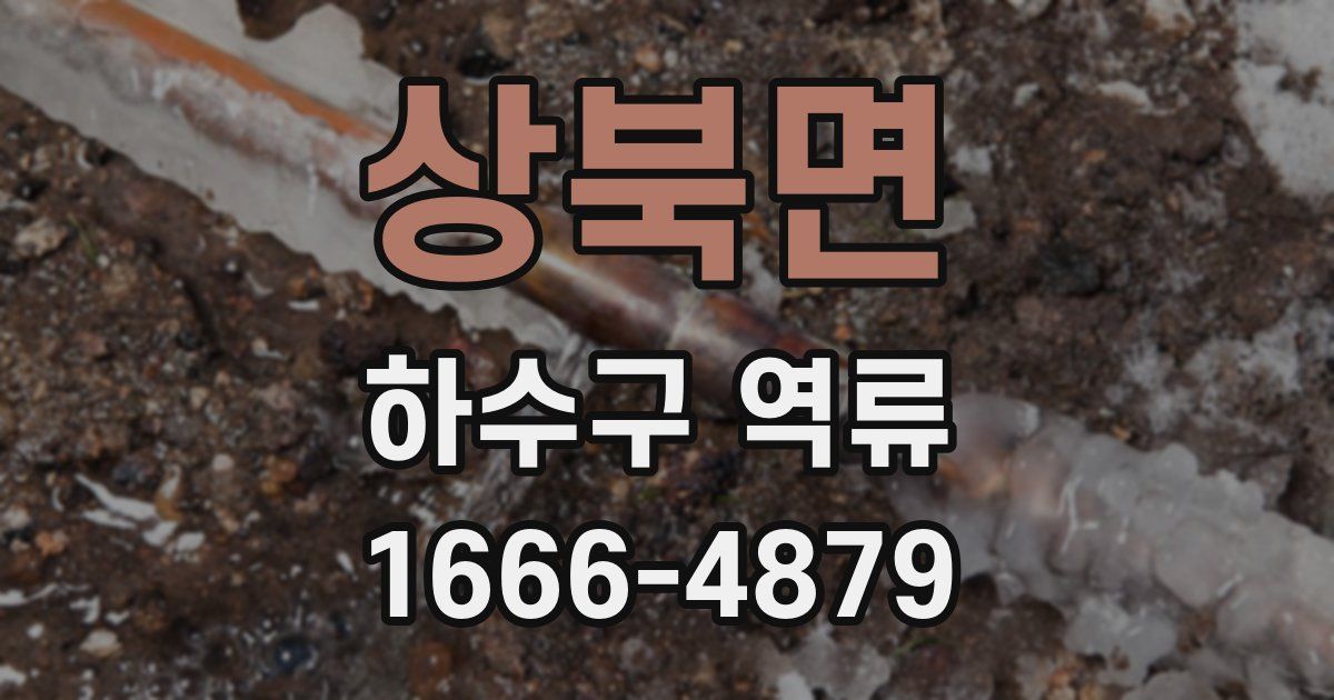 상북면 하수구 역류