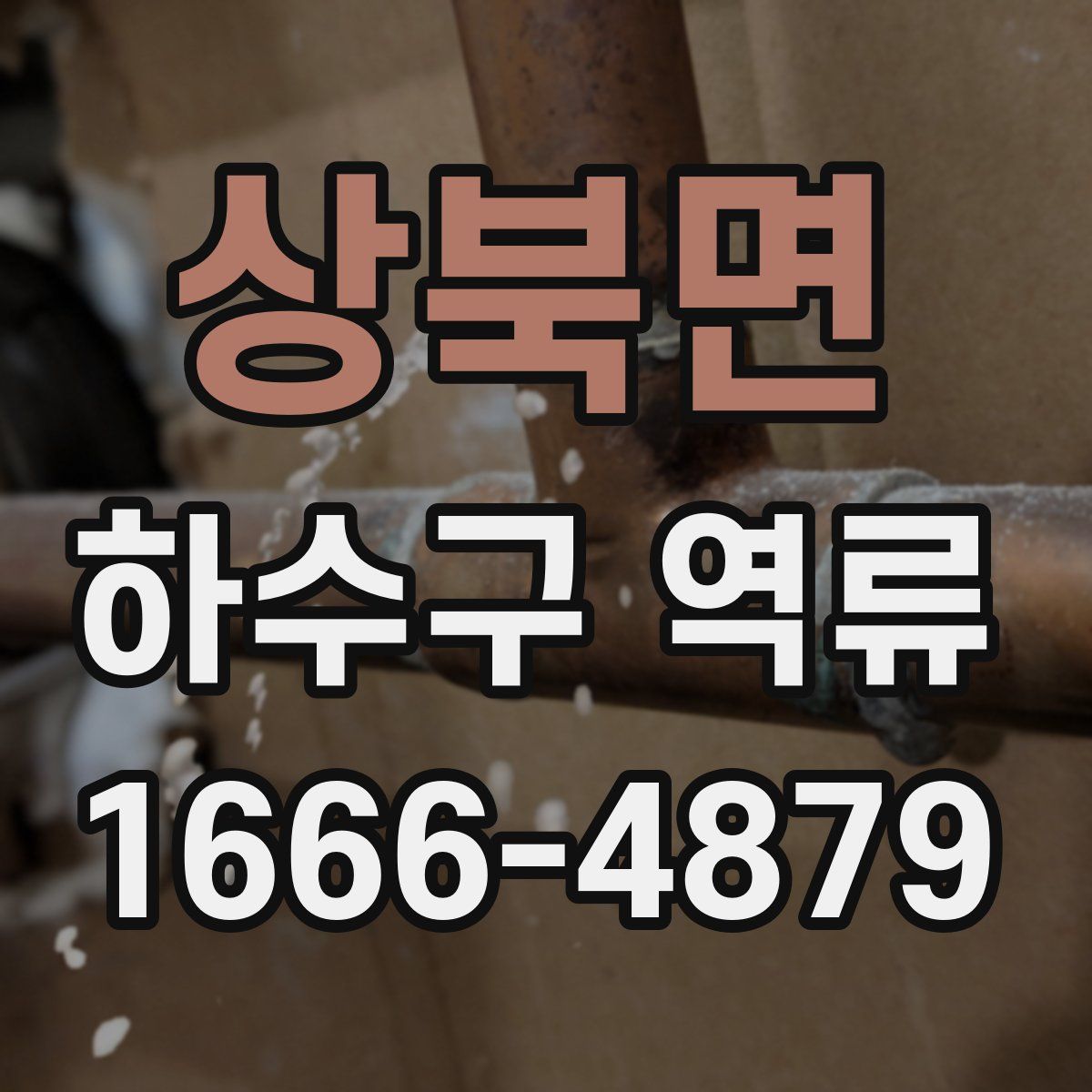 상북면 하수구 역류
