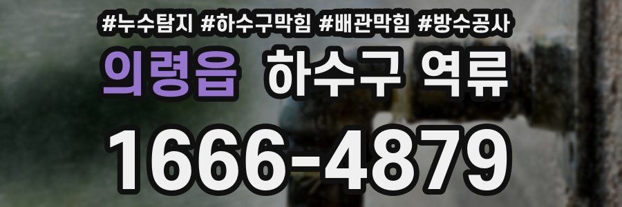 의령읍 하수구 역류