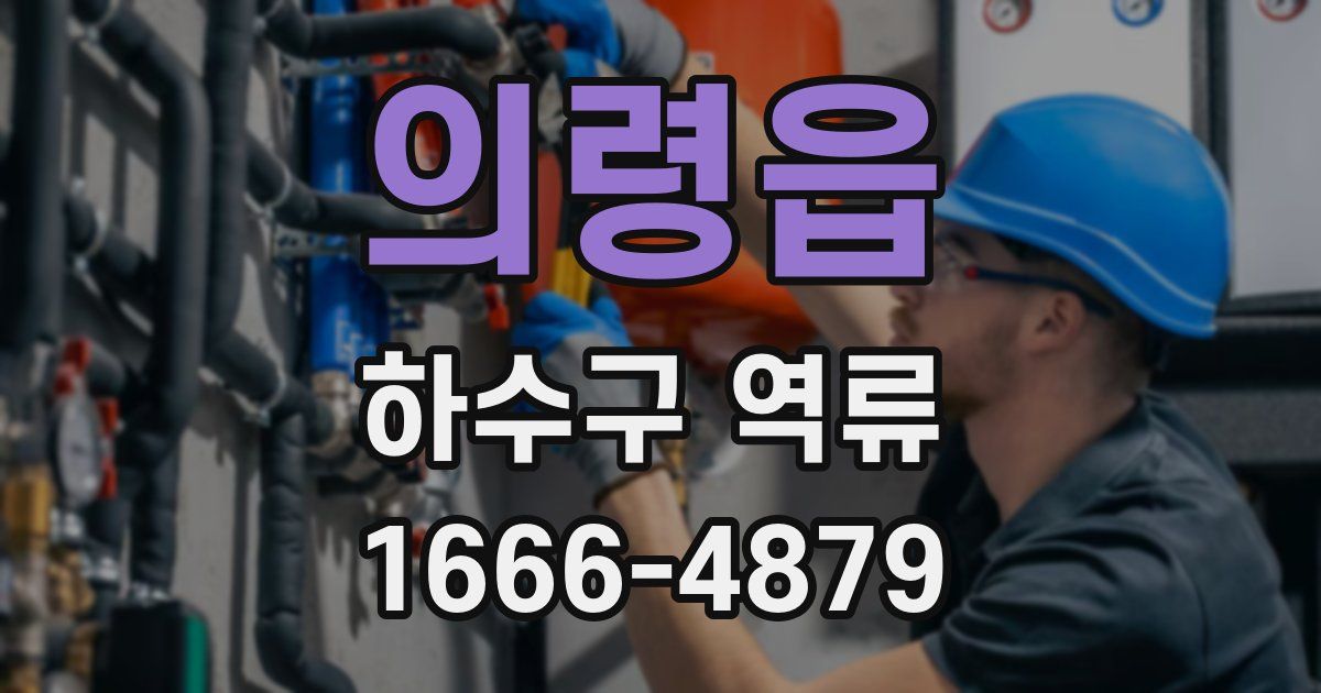 의령읍 하수구 역류