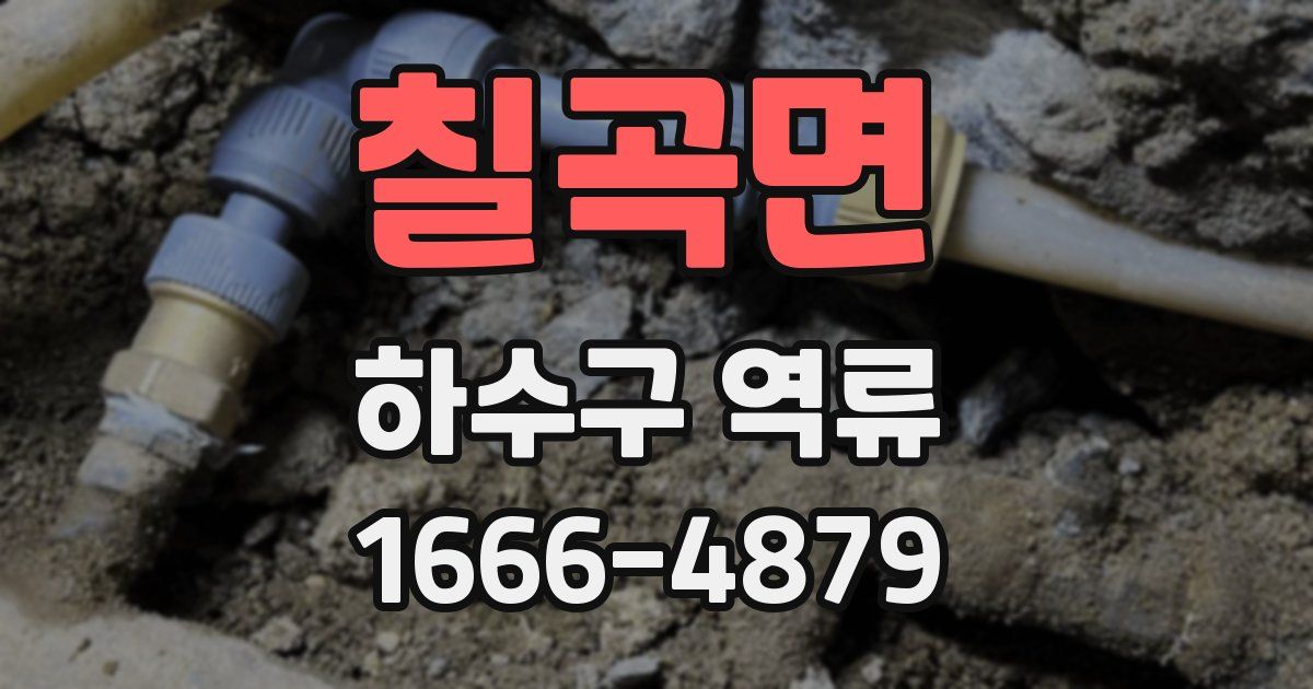 칠곡면 하수구 역류