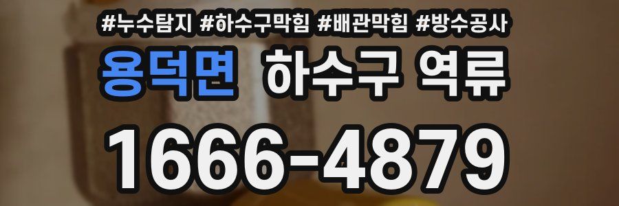 용덕면 하수구 역류