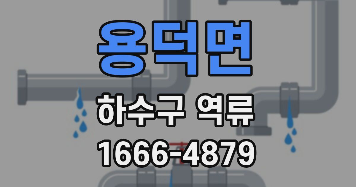 용덕면 하수구 역류