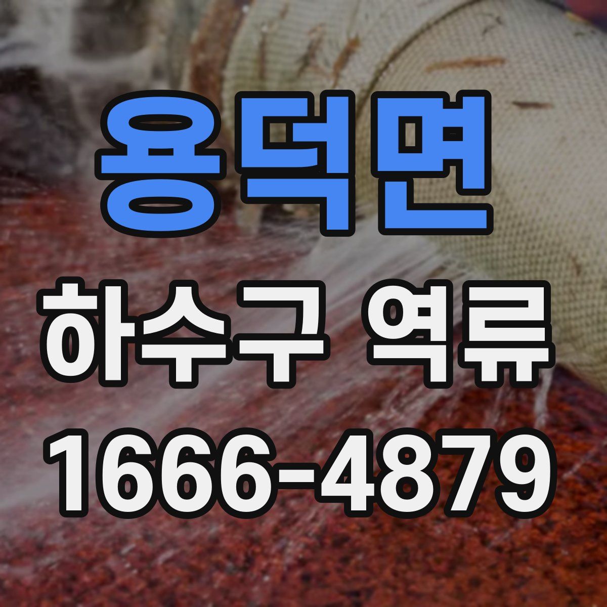 용덕면 하수구 역류