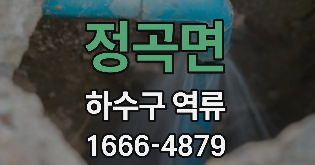 정곡면 하수구 역류