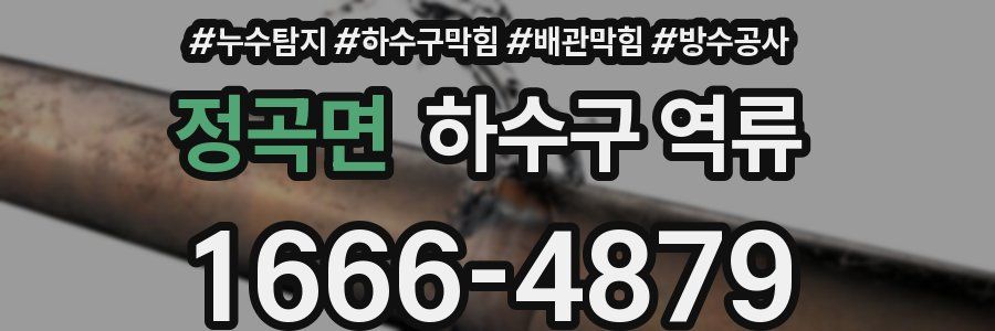 정곡면 하수구 역류