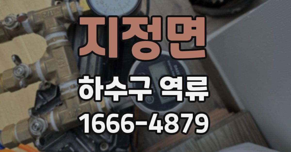 지정면 하수구 역류