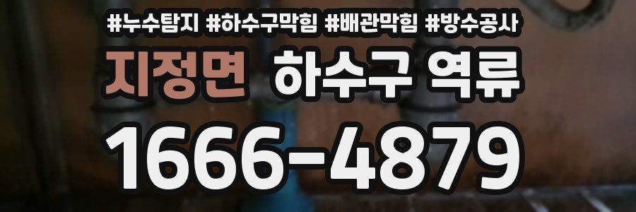지정면 하수구 역류