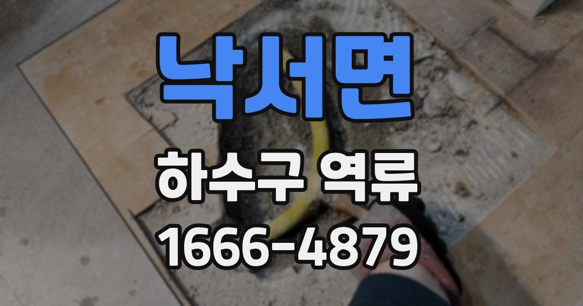 낙서면 하수구 역류