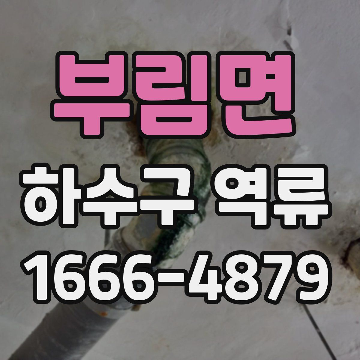 부림면 하수구 역류