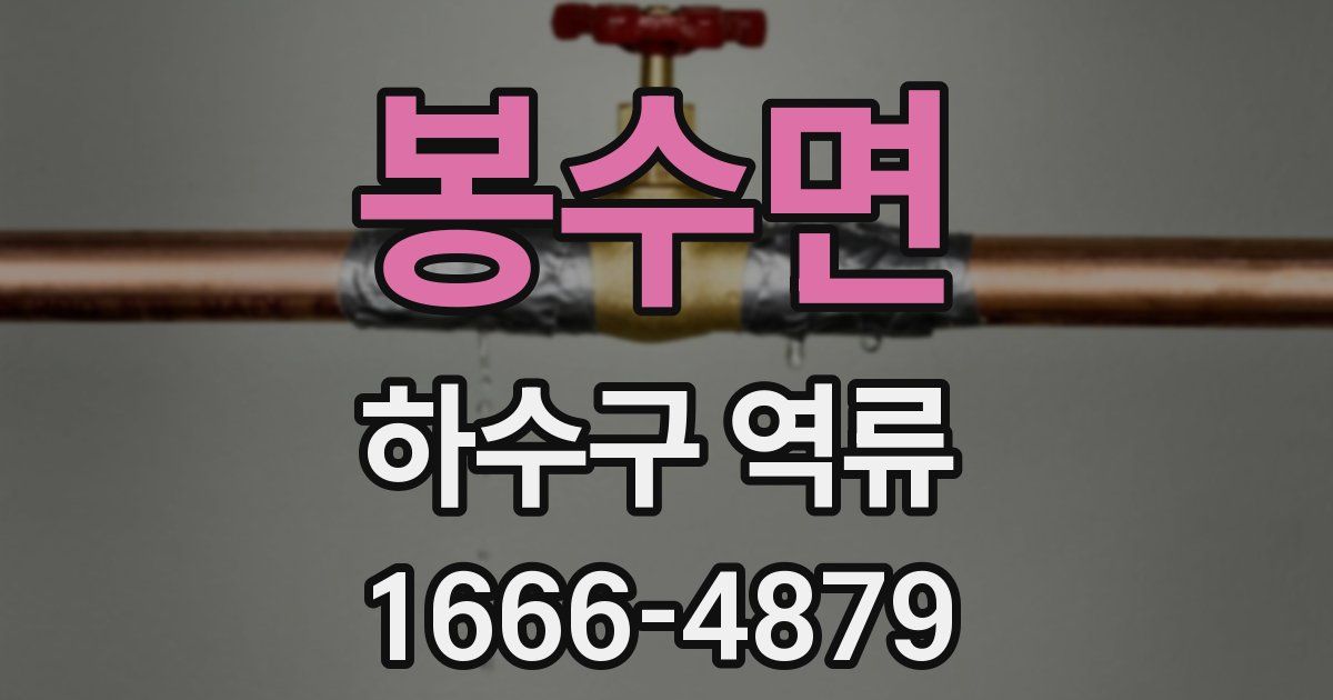 봉수면 하수구 역류
