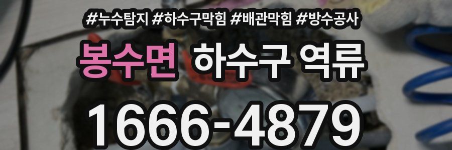 봉수면 하수구 역류