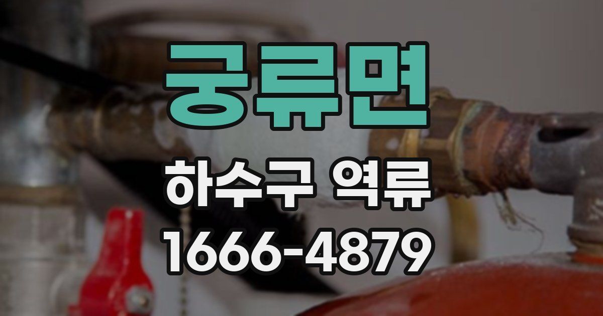 궁류면 하수구 역류