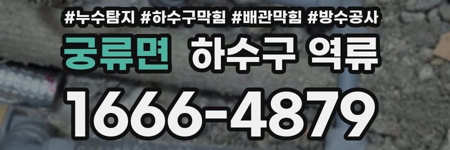 궁류면 하수구 역류