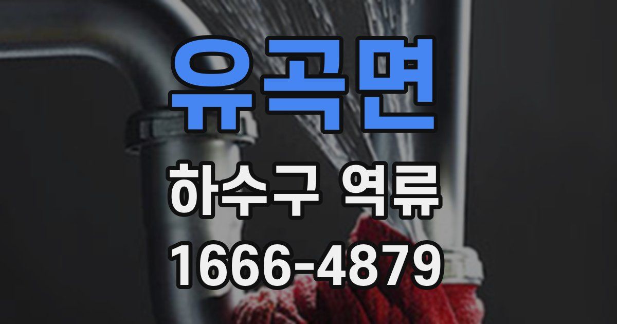 유곡면 하수구 역류