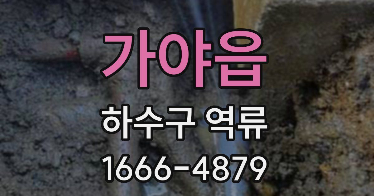 가야읍 하수구 역류