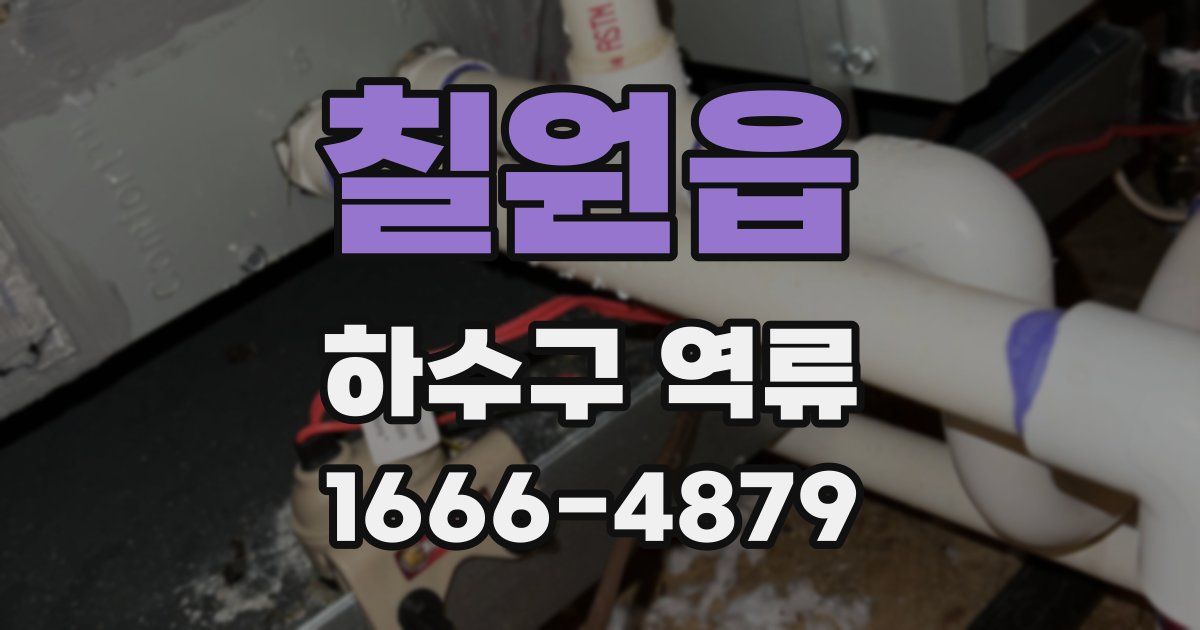 칠원읍 하수구 역류