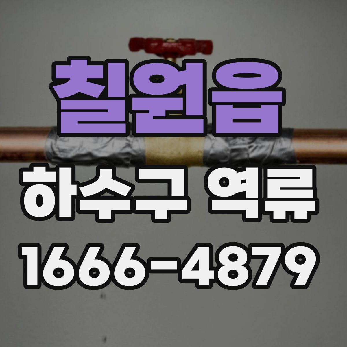 칠원읍 하수구 역류