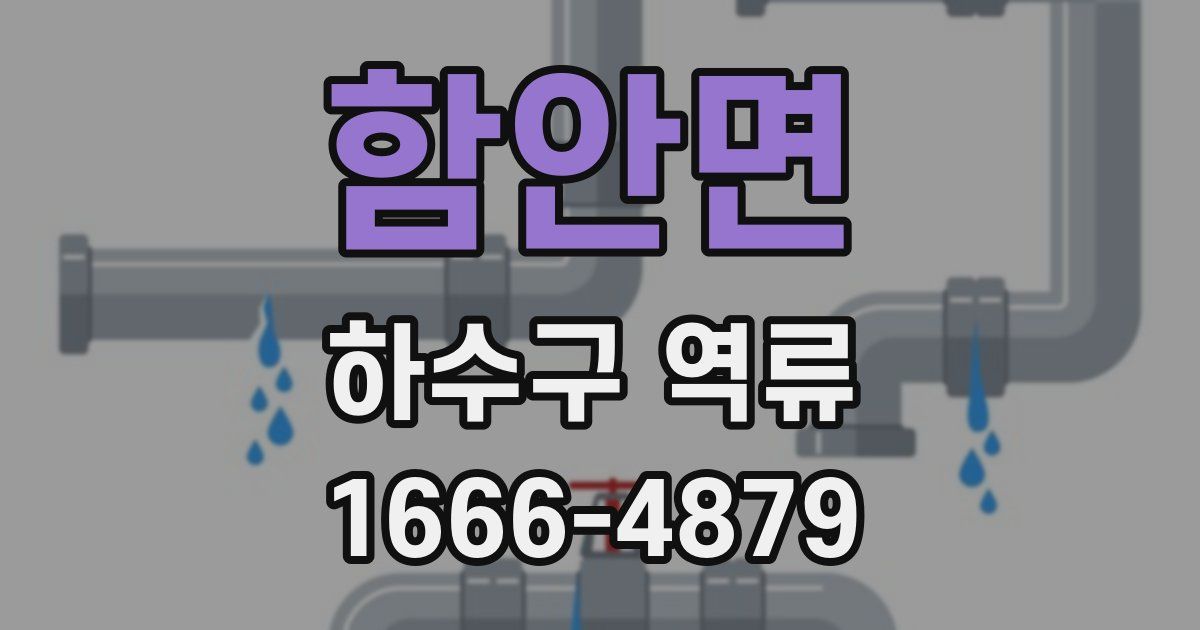 함안면 하수구 역류