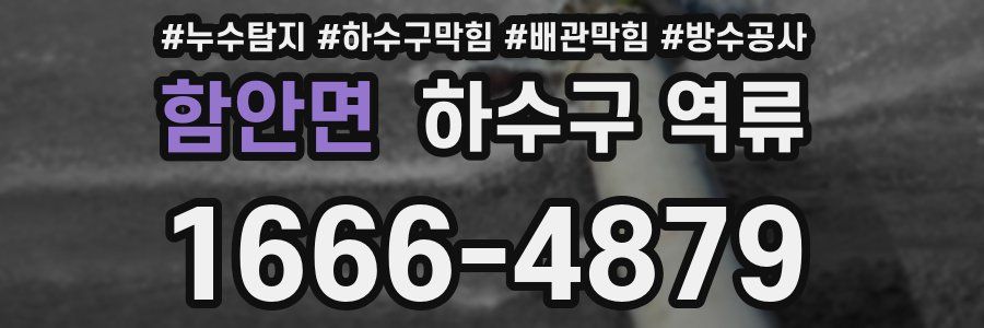 함안면 하수구 역류