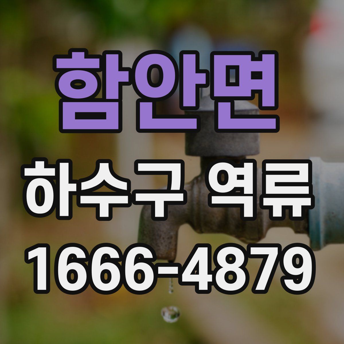 함안면 하수구 역류