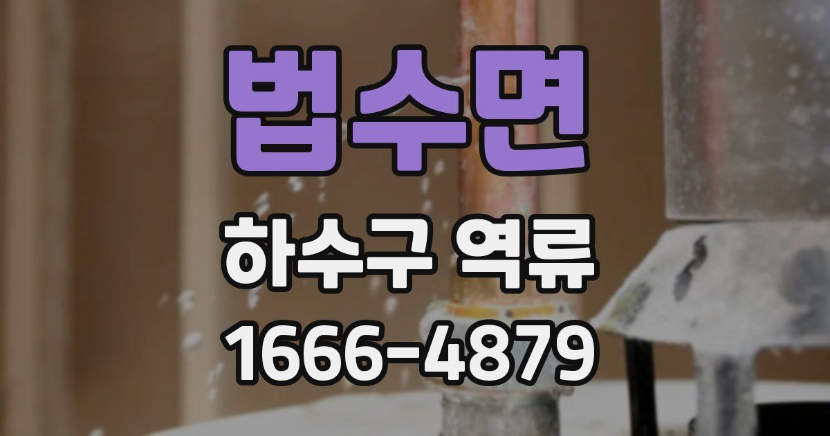 법수면 하수구 역류