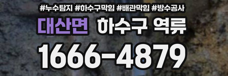 대산면 하수구 역류