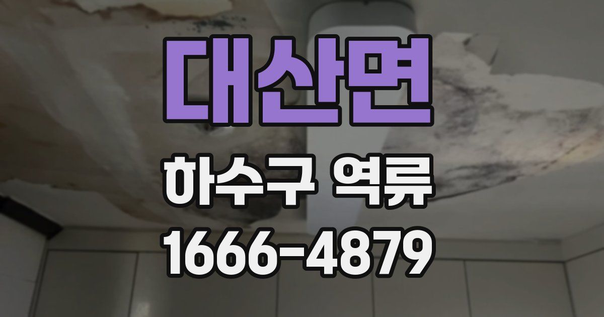대산면 하수구 역류