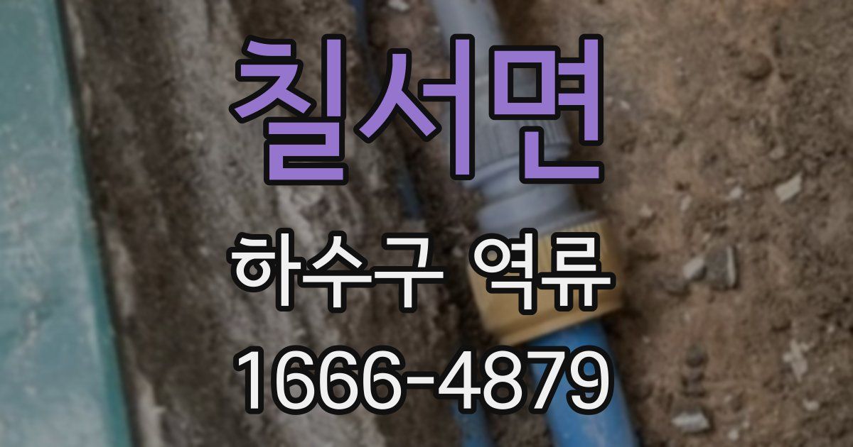 칠서면 하수구 역류