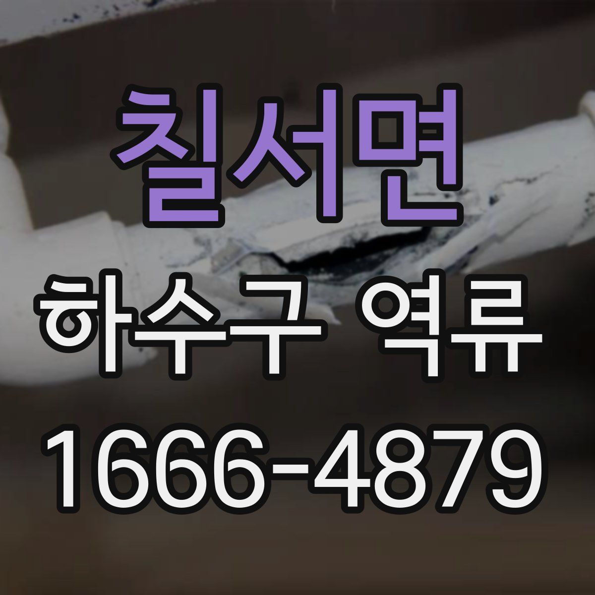 칠서면 하수구 역류
