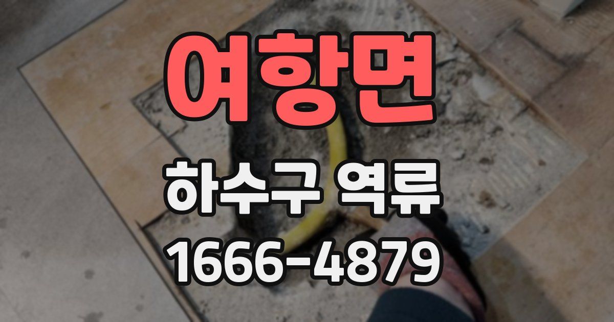 여항면 하수구 역류