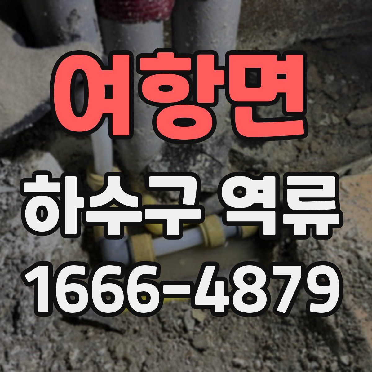 여항면 하수구 역류