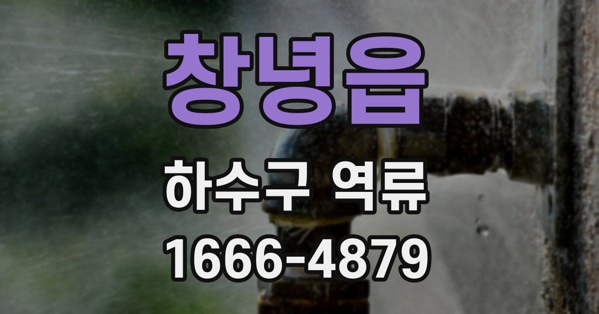 창녕읍 하수구 역류