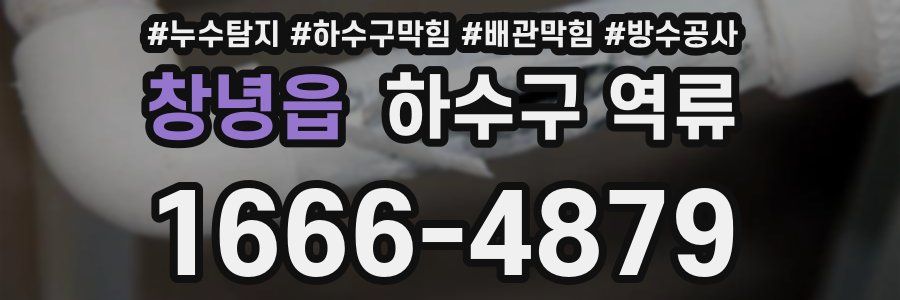 창녕읍 하수구 역류