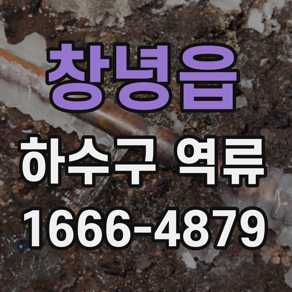 창녕읍 하수구 역류