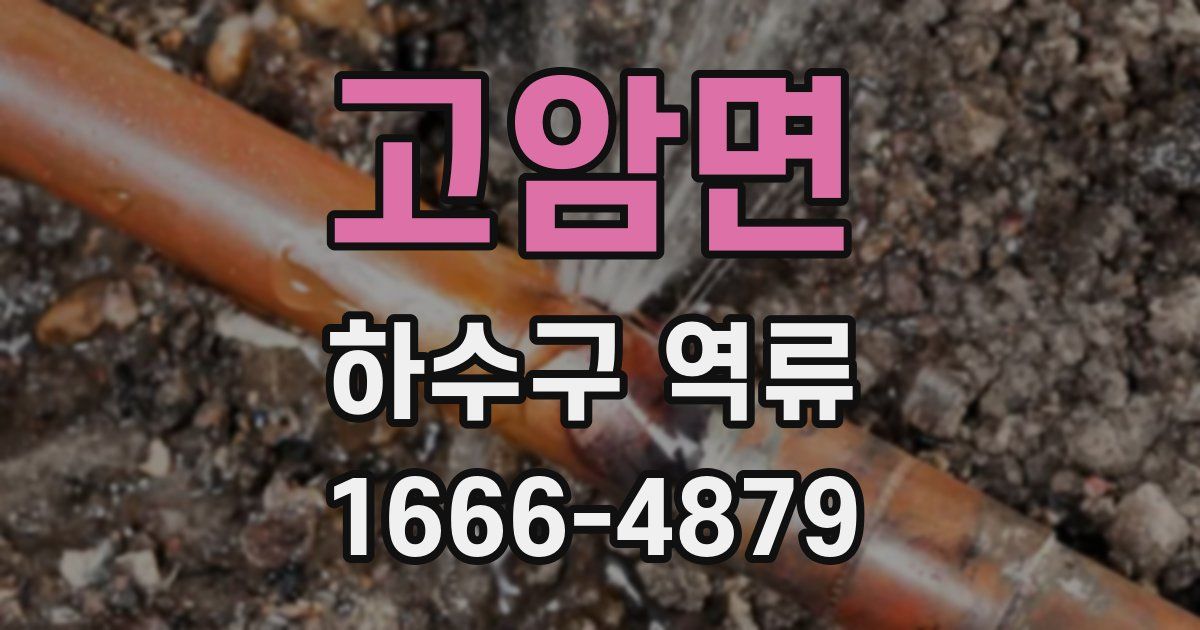 고암면 하수구 역류