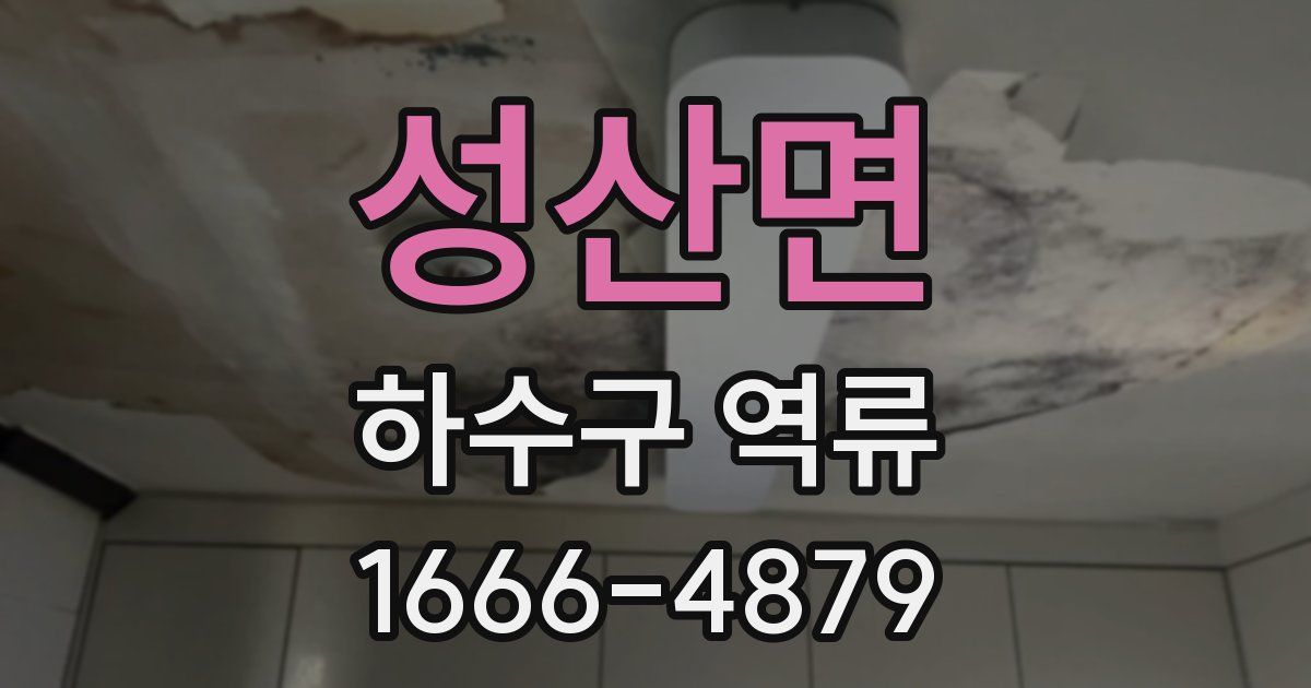 성산면 하수구 역류