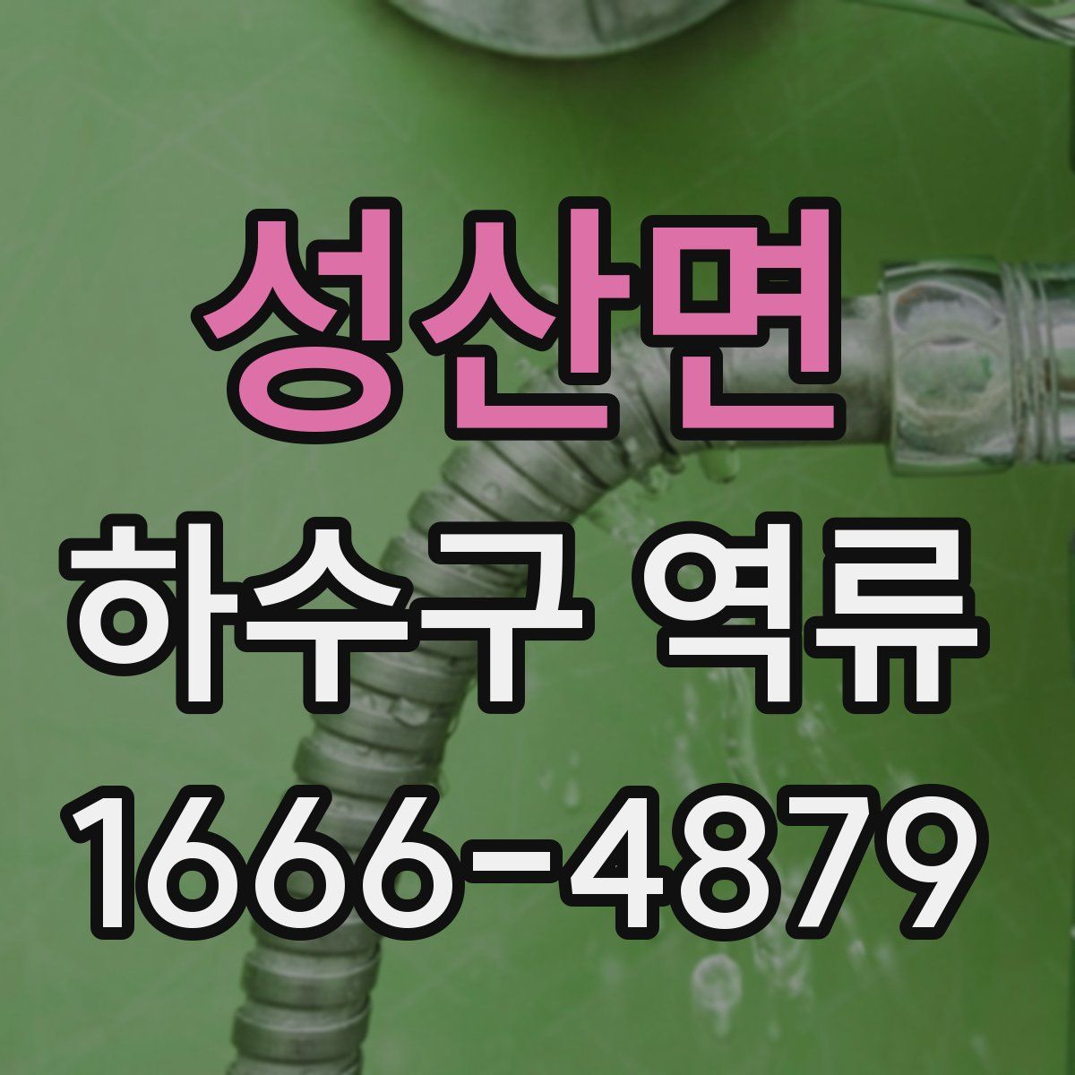 성산면 하수구 역류
