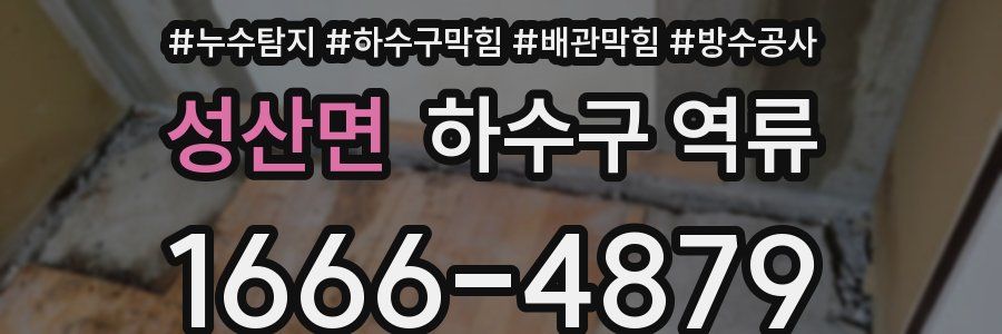 성산면 하수구 역류