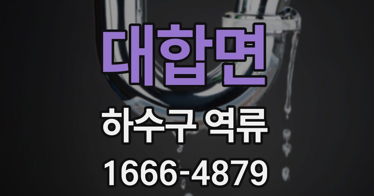 대합면 하수구 역류